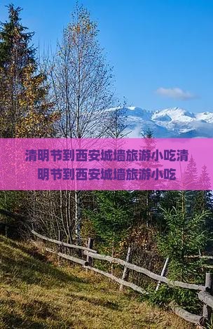 清明节到西安城墙旅游小吃