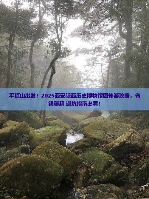 平顶山去西安陕西历史博物馆团体旅游
