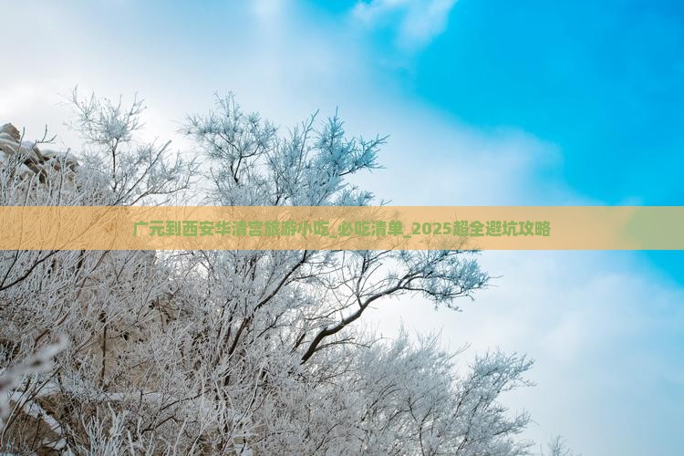 广元到西安华清宫旅游小吃