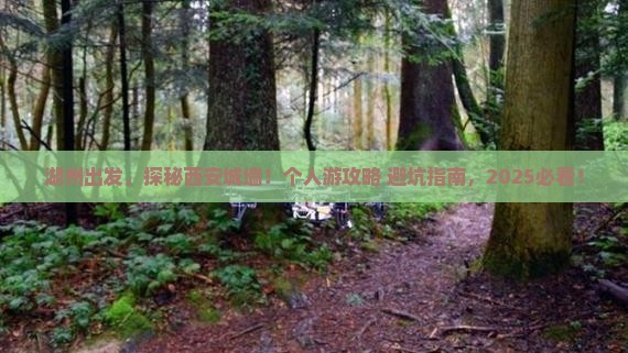 湖州到西安城墙个人游