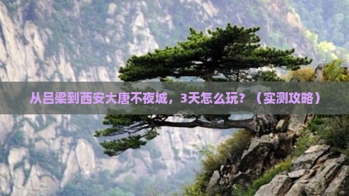 吕梁去西安大唐不夜城个人游