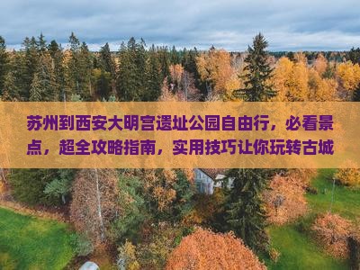 苏州到西安大明宫国家遗址公园自由行