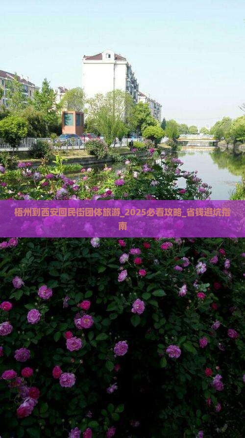 梧州到西安回民街团体旅游