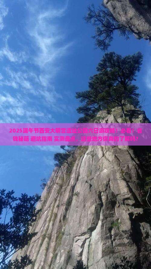 端午节到西安大明宫国家遗址公园六日游