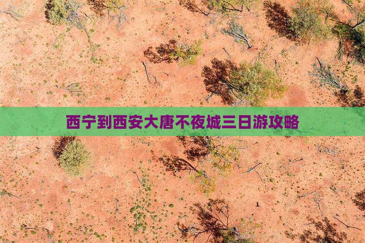 西宁到西安大唐不夜城三日游