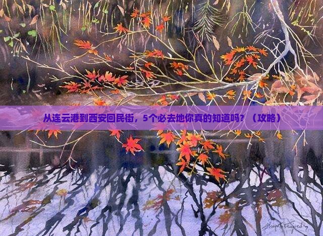 连云港到西安回民街必去地