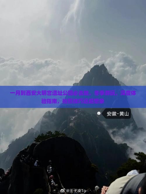 一月到西安大明宫国家遗址公园必去地