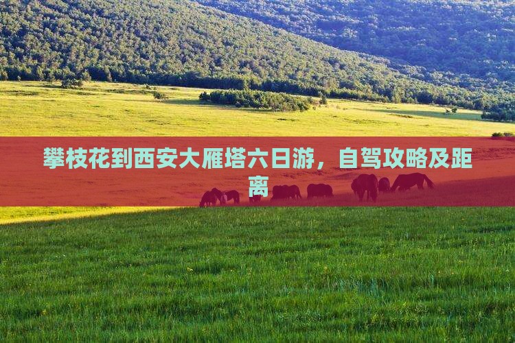 攀枝花到西安大雁塔六日游