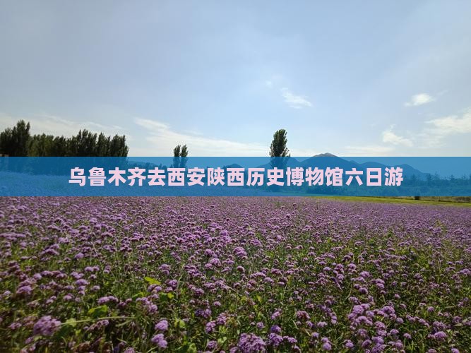 乌鲁木齐去西安陕西历史博物馆六日游