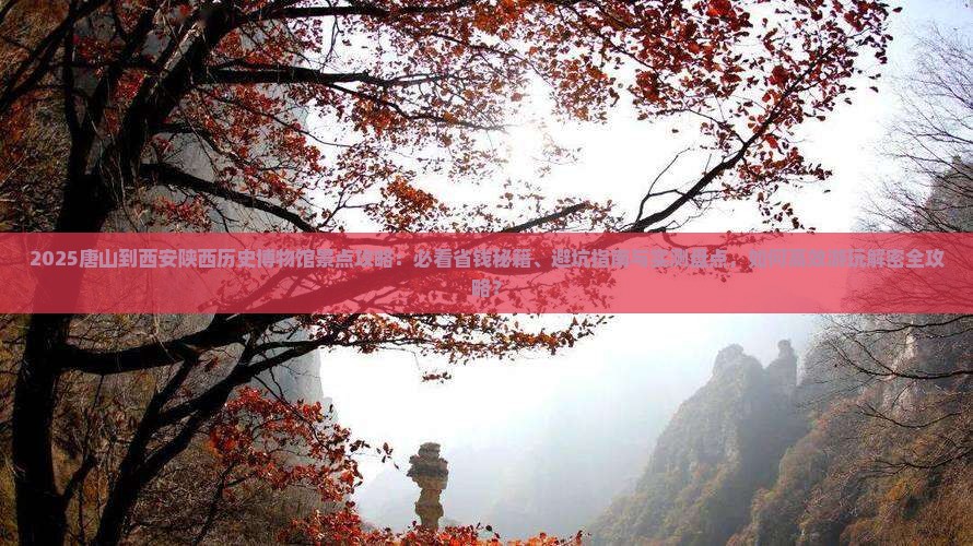 唐山到西安陕西历史博物馆景点