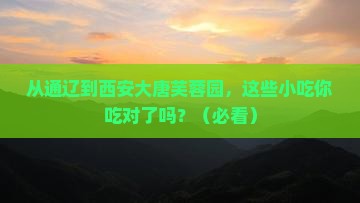 通辽市去西安大唐芙蓉园旅游小吃