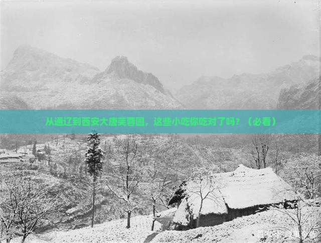 通辽市去西安大唐芙蓉园旅游小吃