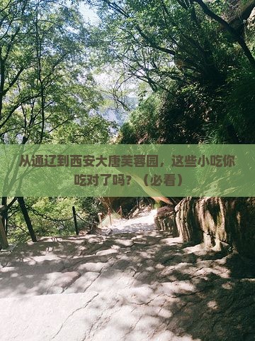 通辽市去西安大唐芙蓉园旅游小吃