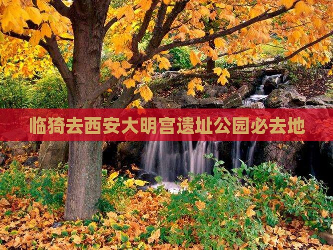 临猗去西安大明宫国家遗址公园必去地