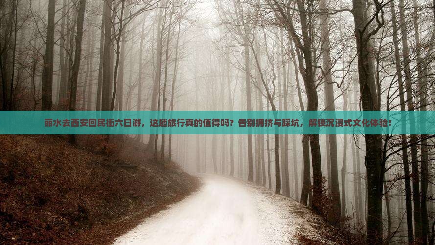 丽水去西安回民街六日游