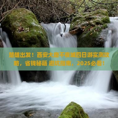 楚雄到西安大唐不夜城四日游