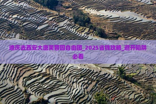 迪庆去西安大唐芙蓉园自由团