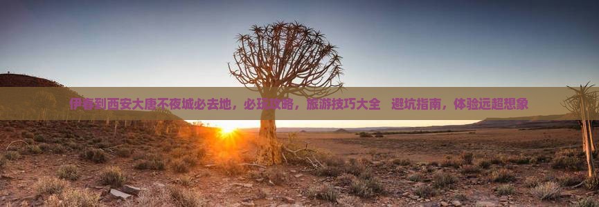伊春到西安大唐不夜城必去地