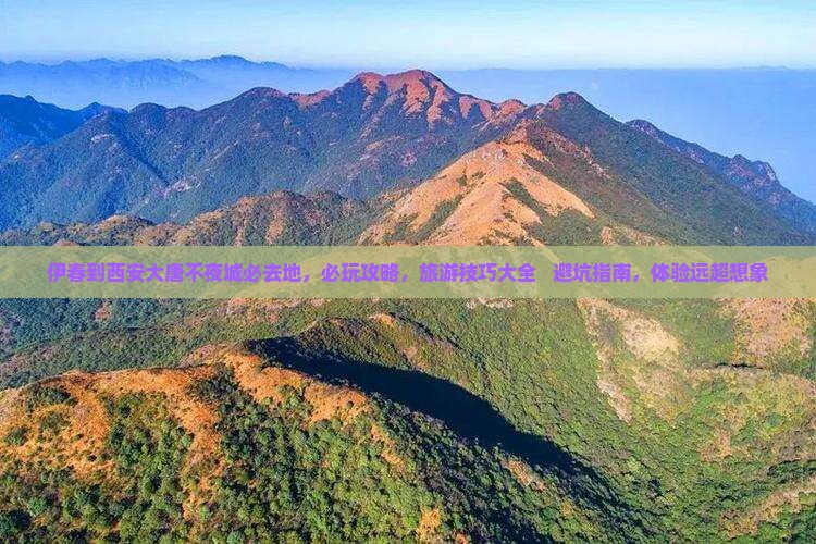 伊春到西安大唐不夜城必去地
