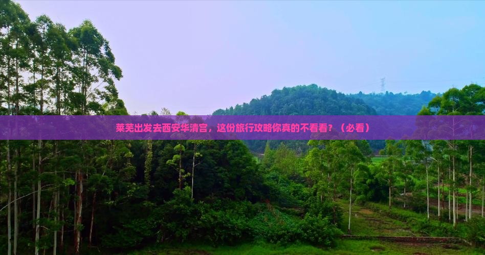 莱芜去西安华清宫旅行社