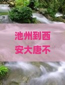 池州到西安大唐不夜城一日游