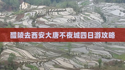 醴陵去西安大唐不夜城四日游