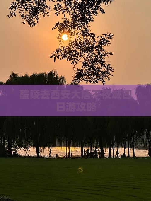 醴陵去西安大唐不夜城四日游