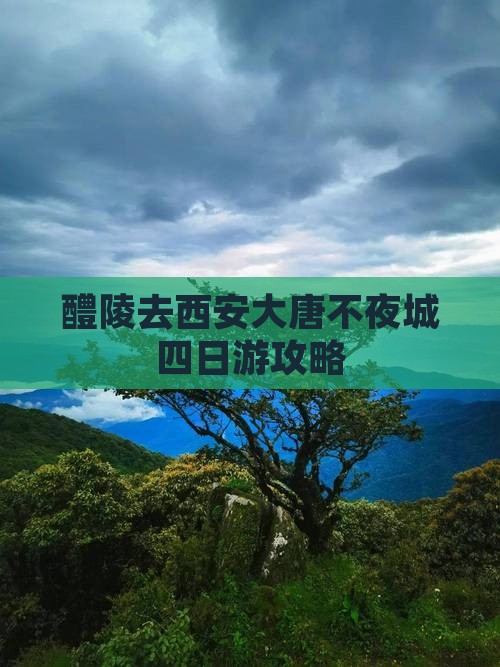 醴陵去西安大唐不夜城四日游