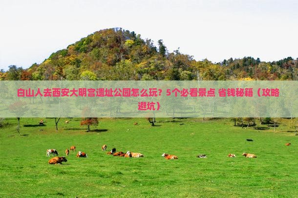 白山去西安大明宫国家遗址公园攻略