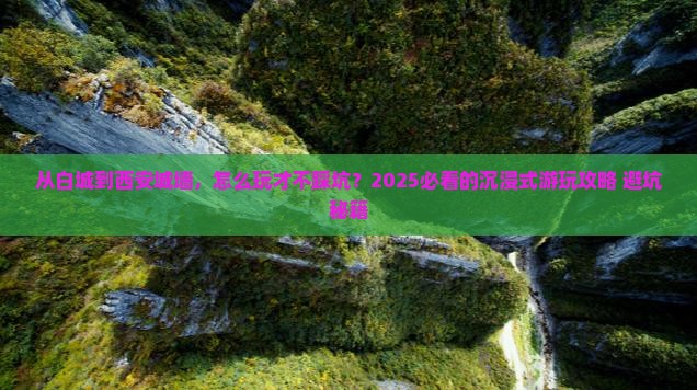 白城到西安城墙哪里玩