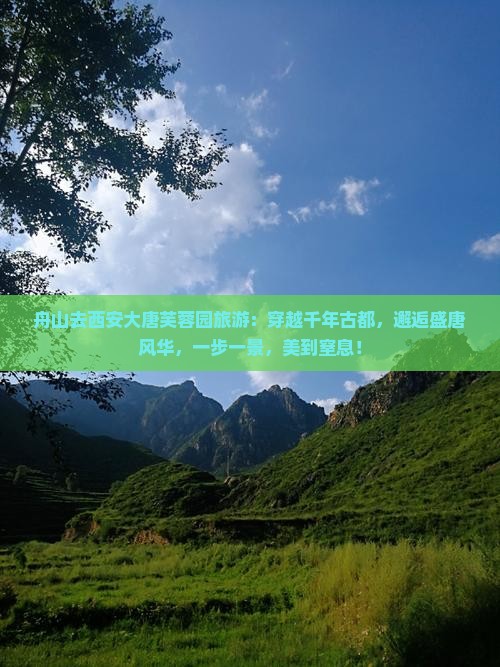 舟山去西安大唐芙蓉园旅游