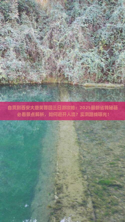 自贡到西安大唐芙蓉园三日游