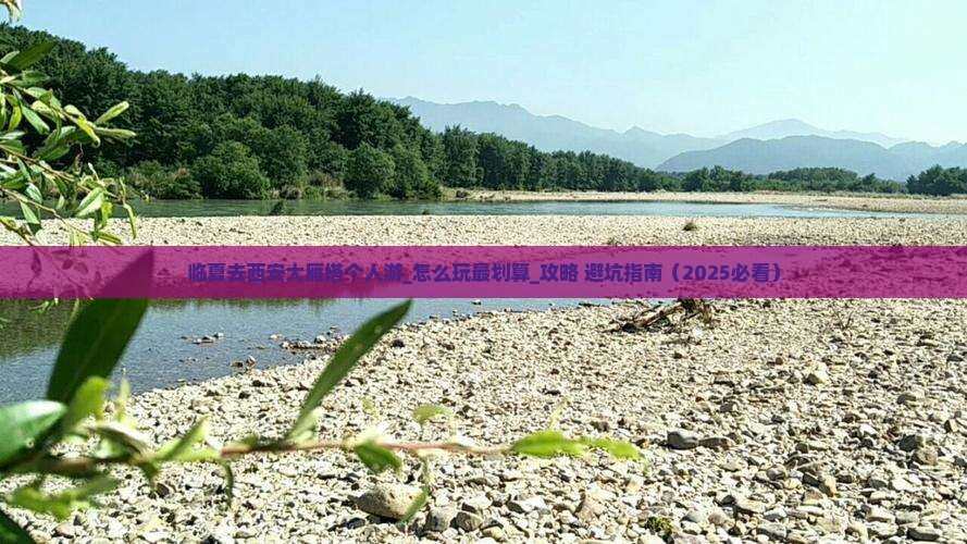 临夏去西安大雁塔个人游