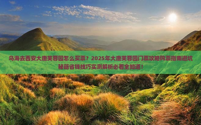 乌海去西安大唐芙蓉园门票