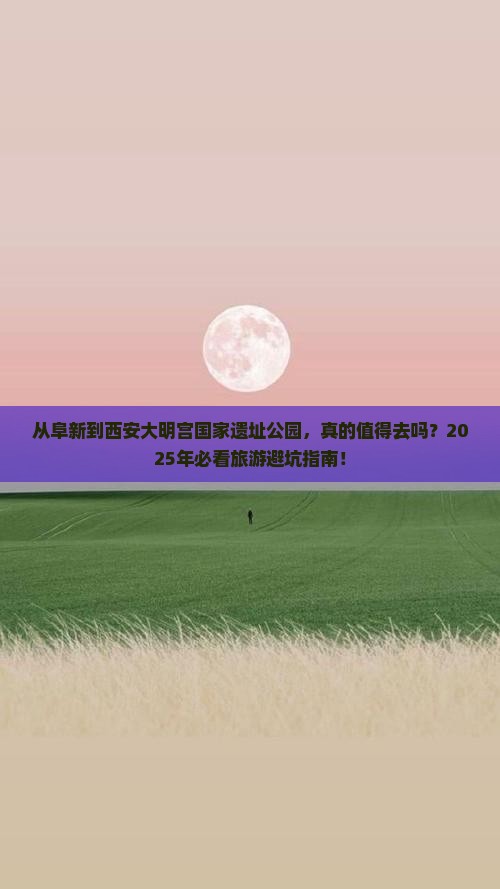 阜新去西安大明宫国家遗址公园旅游