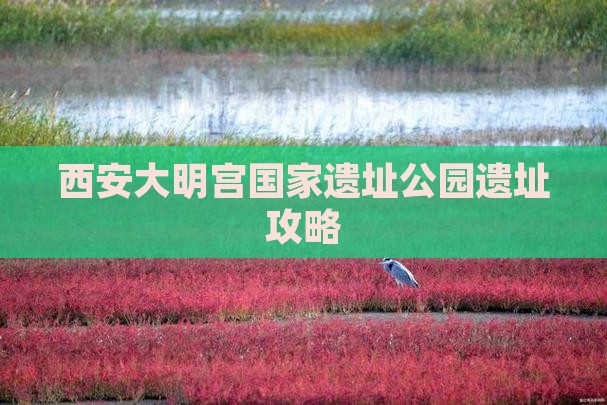 那曲到西安大明宫国家遗址公园景点
