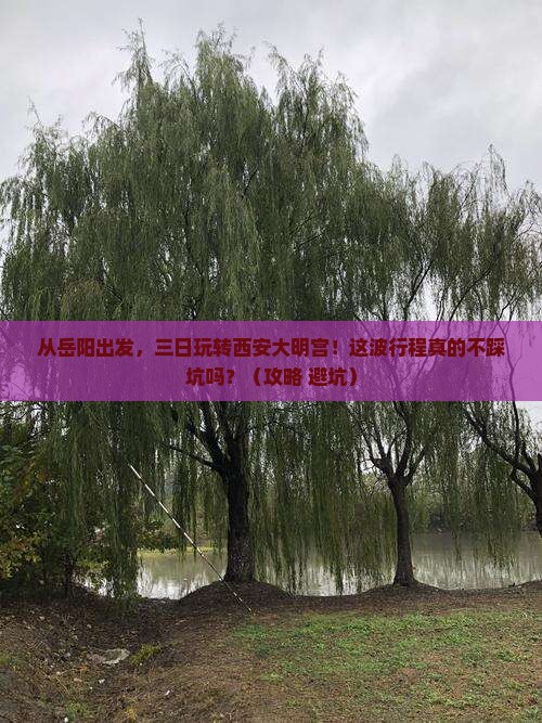 岳阳到西安大明宫国家遗址公园三日游