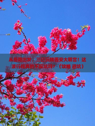 岳阳到西安大明宫国家遗址公园三日游