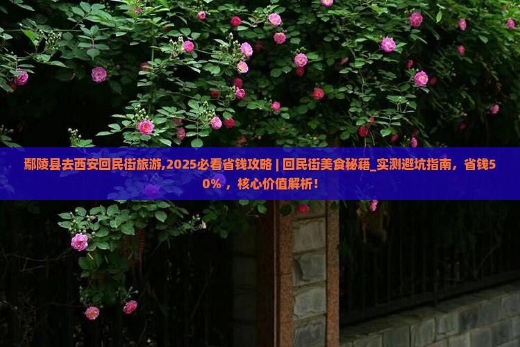 鄢陵县去西安回民街旅游