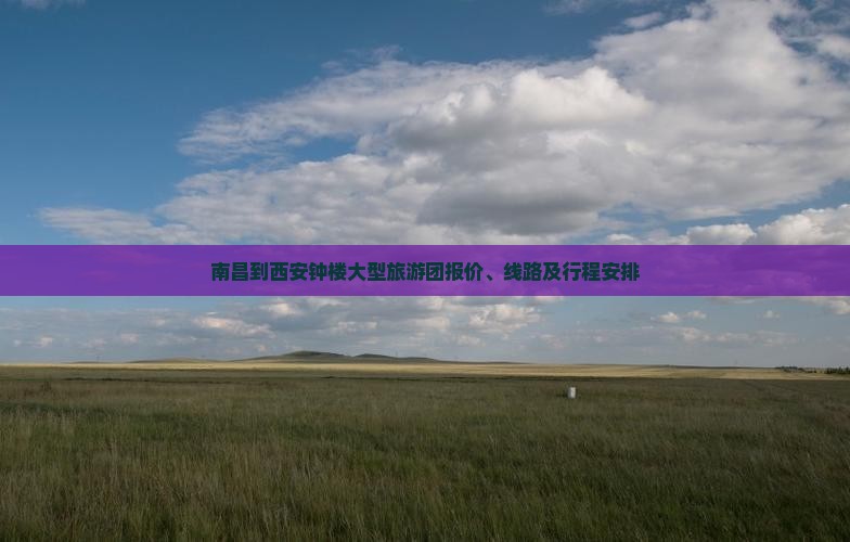 南昌到西安钟楼大型旅游团