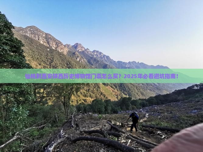 仙桃到西安陕西历史博物馆门票