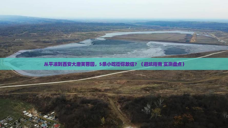 平凉去西安大唐芙蓉园旅游小吃