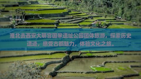 淮北去西安大明宫国家遗址公园团体旅游