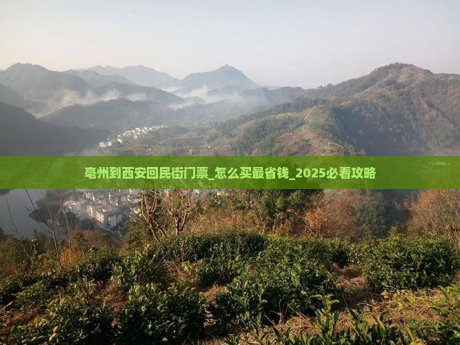 亳州到西安回民街门票