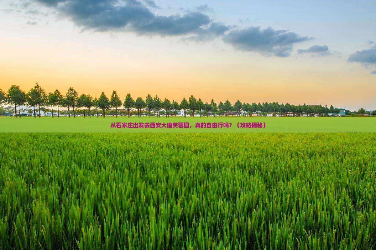 石家庄去西安大唐芙蓉园自由行