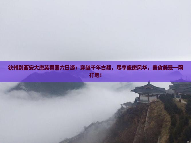 钦州到西安大唐芙蓉园六日游