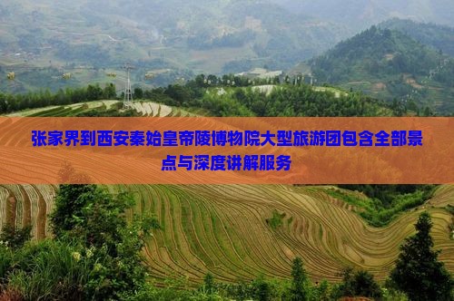 张家界到西安秦始皇帝陵博物院大型旅游团
