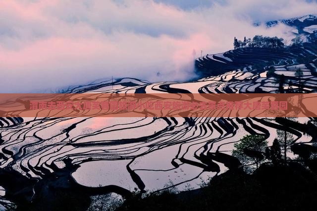 渭南去西安大唐芙蓉园旅游小吃