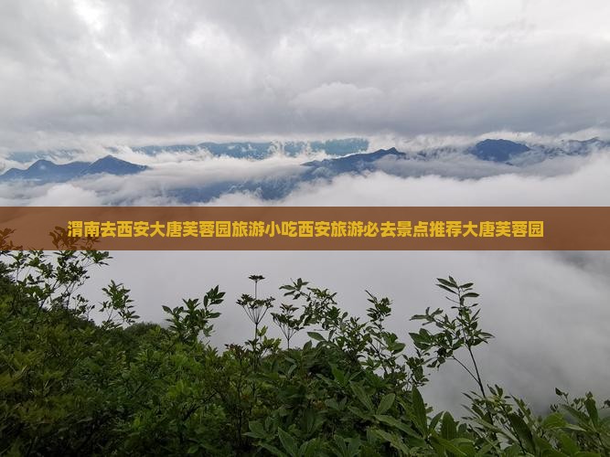 渭南去西安大唐芙蓉园旅游小吃