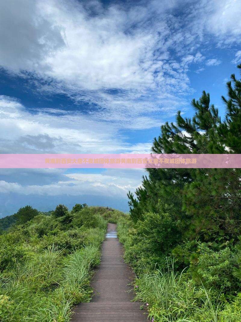 黄南到西安大唐不夜城团体旅游
